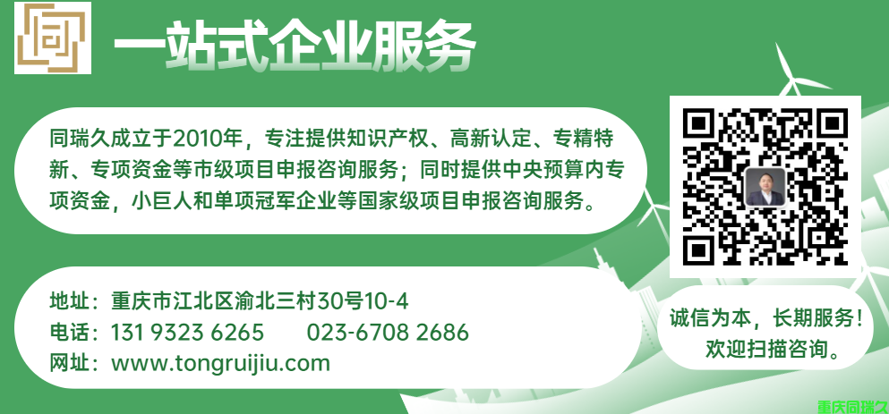 2023年度重庆市知识产权优势企业认定复核考核申报通知(图2)