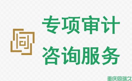 专项审计咨询服务(图1)