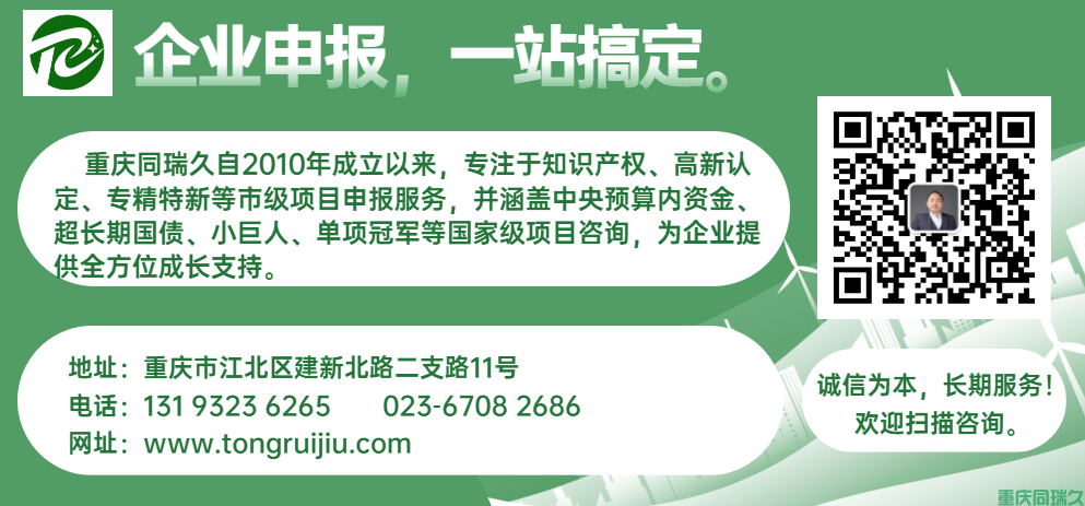 重庆市专精特新企业财务指标全面解读(图1)