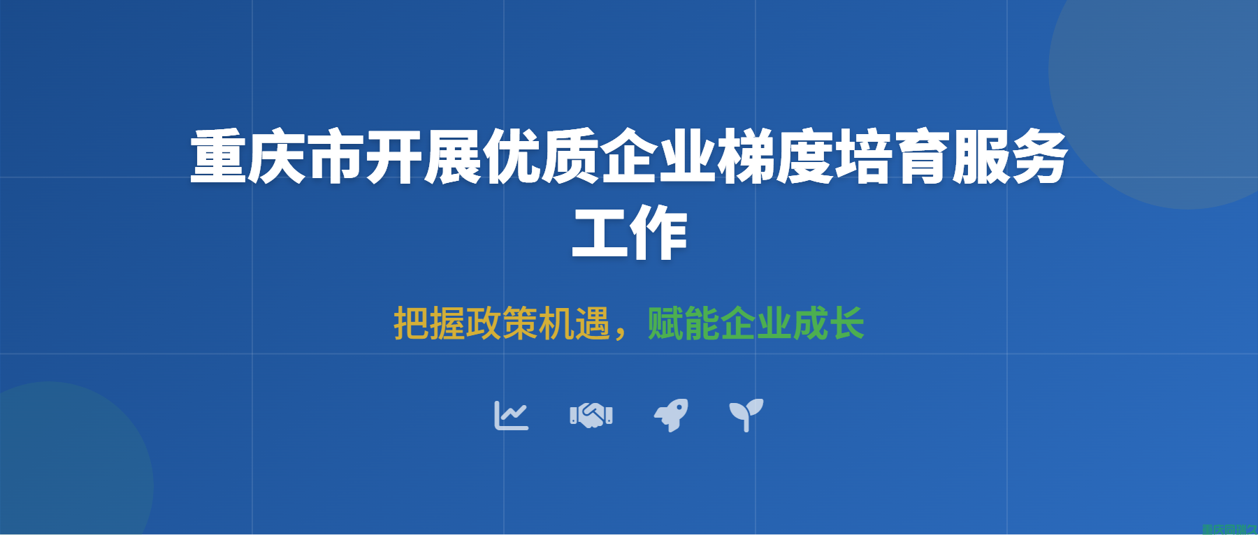 重庆市开展优质企业梯度培育服务工作：把握政策机遇，赋能企业成长(图1)