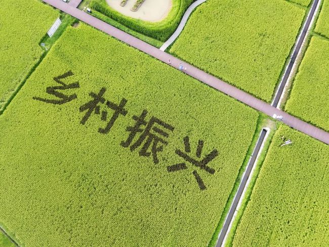黔江科局发〔2021〕15号 关于申报2021年乡村振兴对口帮扶科技项目的通知(图1) 黔江科局发〔2021〕15号 关于申报2021年乡村振兴对口帮扶科技项目的通知(图1)